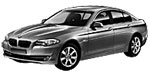 BMW F10 U1950 Fault Code